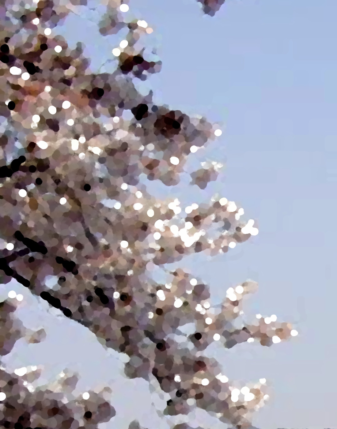 Close-up photo of branches covered in cherry blossoms,
                digitally-manipulated to somewhat resemble an impressionist
                painting.